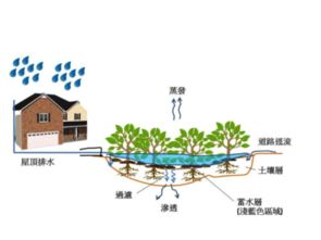 技術(shù)開發(fā)的全景透析 從概念到實(shí)踐