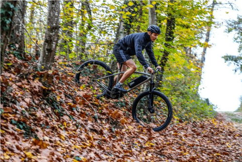 自行車(chē)最強(qiáng)外掛 法國(guó)公司造了一個(gè)神級(jí)配件,裝上它你騎車(chē)爬坡都不用喘了
