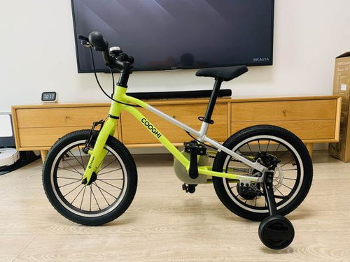 騎上它,你就是最靚的仔 酷騎f3兒童自行車(chē)評(píng)測(cè)