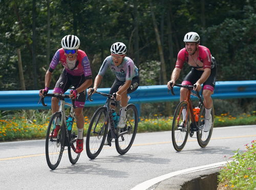 自行車 環(huán)鄱陽湖國際自行車大賽進(jìn)行第五賽段的比賽