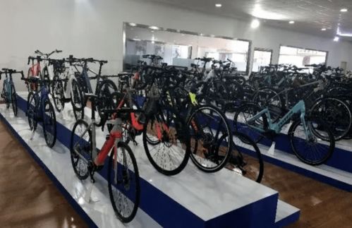 碳纖維車(chē)架的自行車(chē)海外訂單激增,市場(chǎng)向好